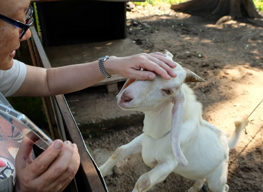 LokaLocal-彼咯必去景点