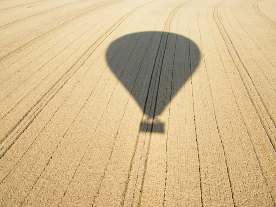 Aerosaurus Balloons景点图片