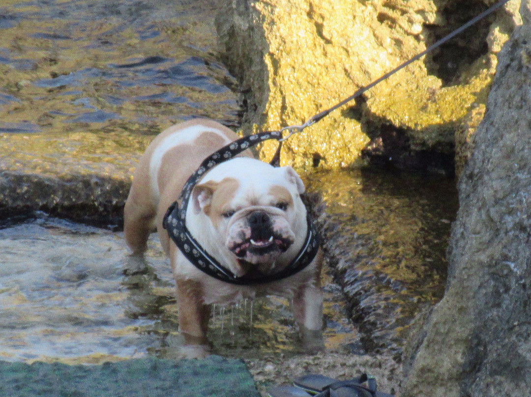 Spiaggia Botte-Andrano必去景点