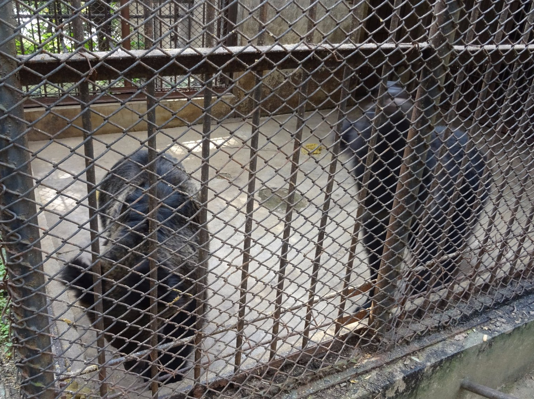 相山公园-淮北市必去景点