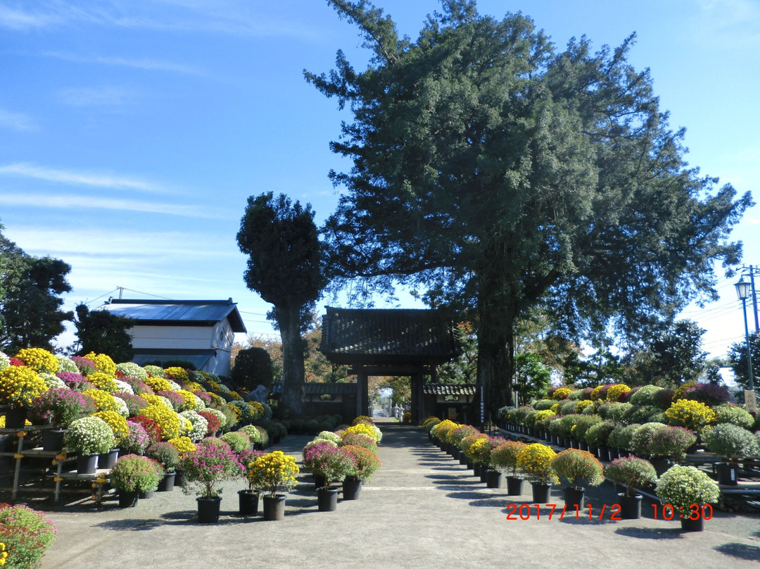 Soseiji Temple-小田原市必去景点
