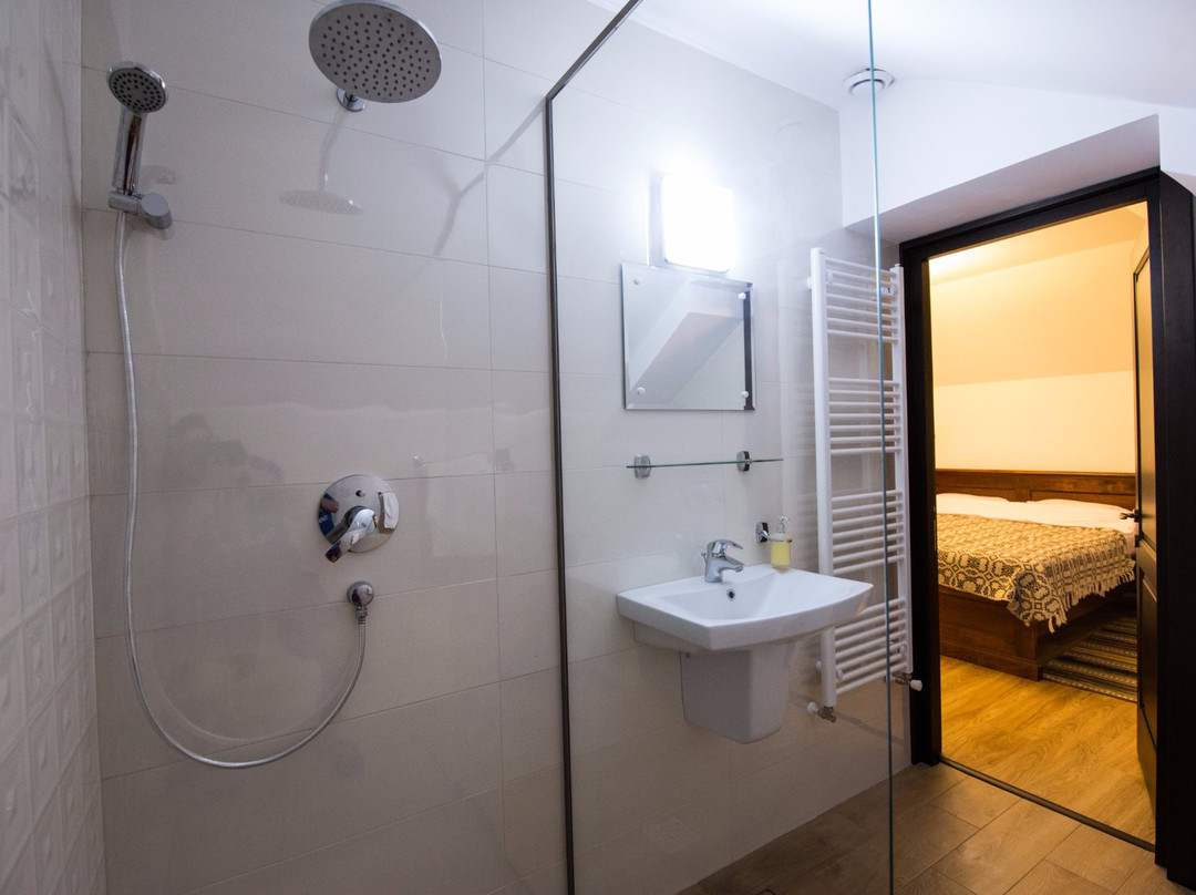 Mitocu Dragomirnei旅游攻略图片