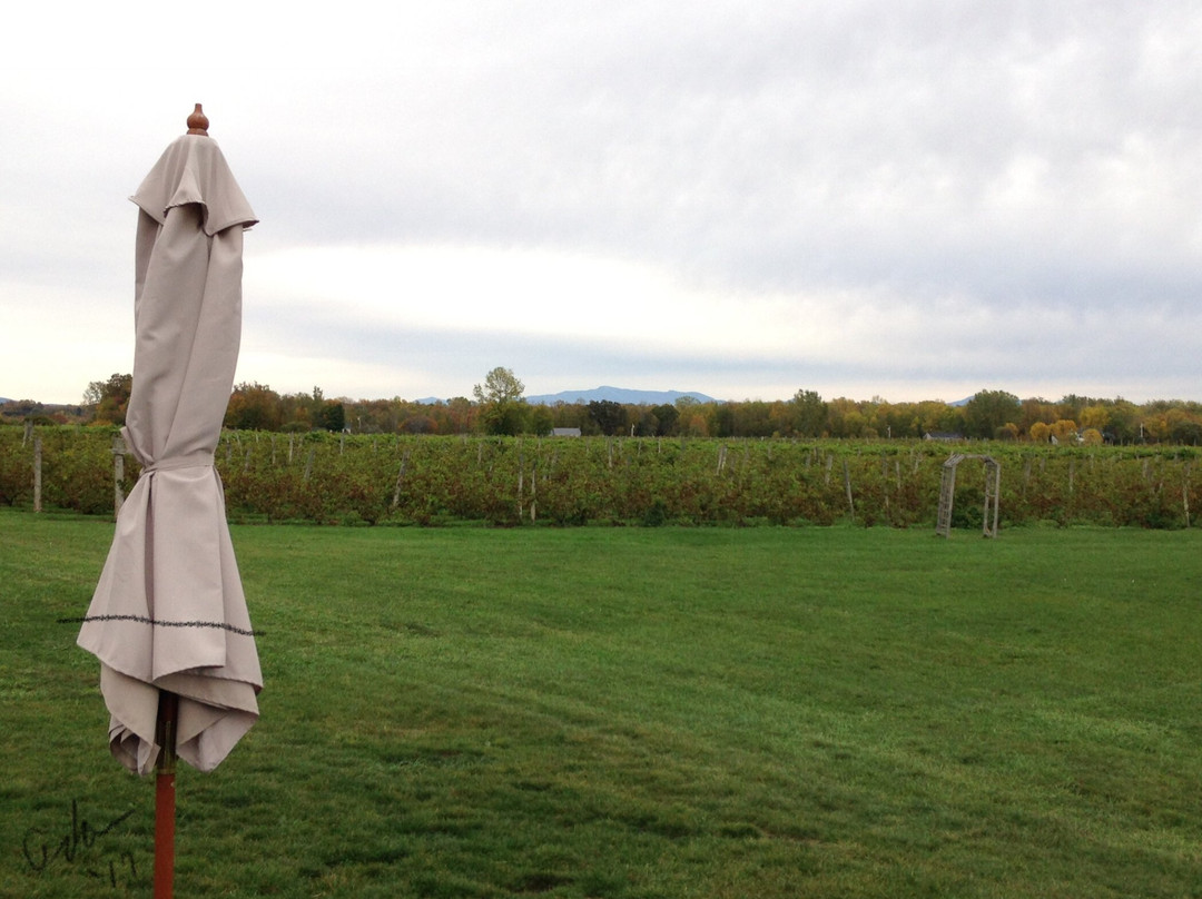 Snow Farm Vineyard and Winery-South Hero必去景点