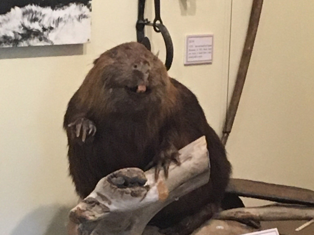 Pomo Museum-穆迪港必去景点