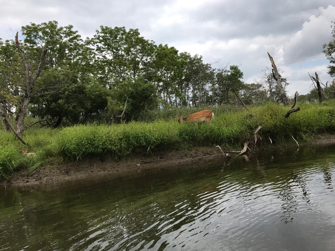 R-鹤居村必去景点
