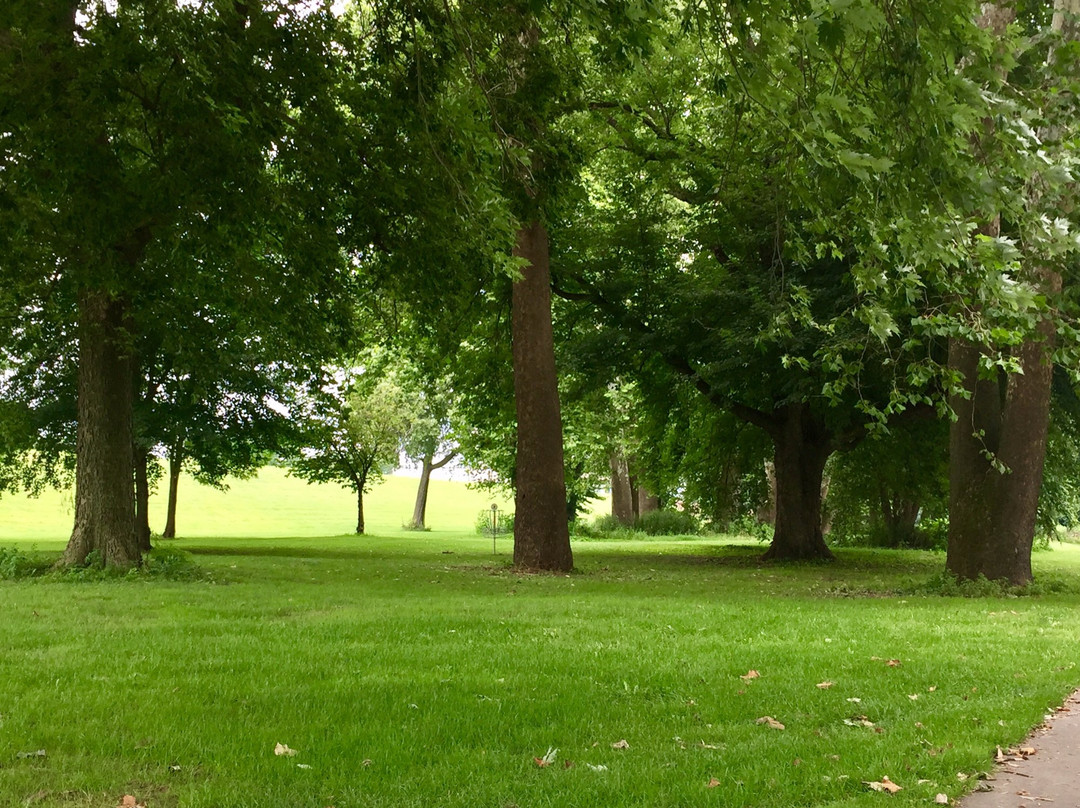 Nesbitt Park-Kingston必去景点