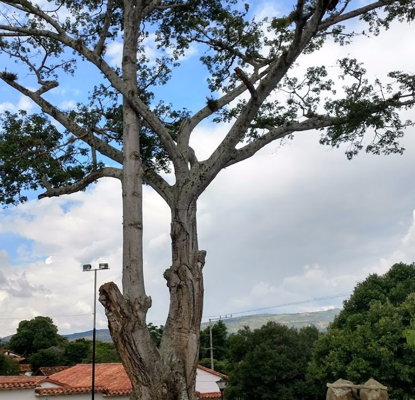 Monumento al Buey-巴里查拉必去景点