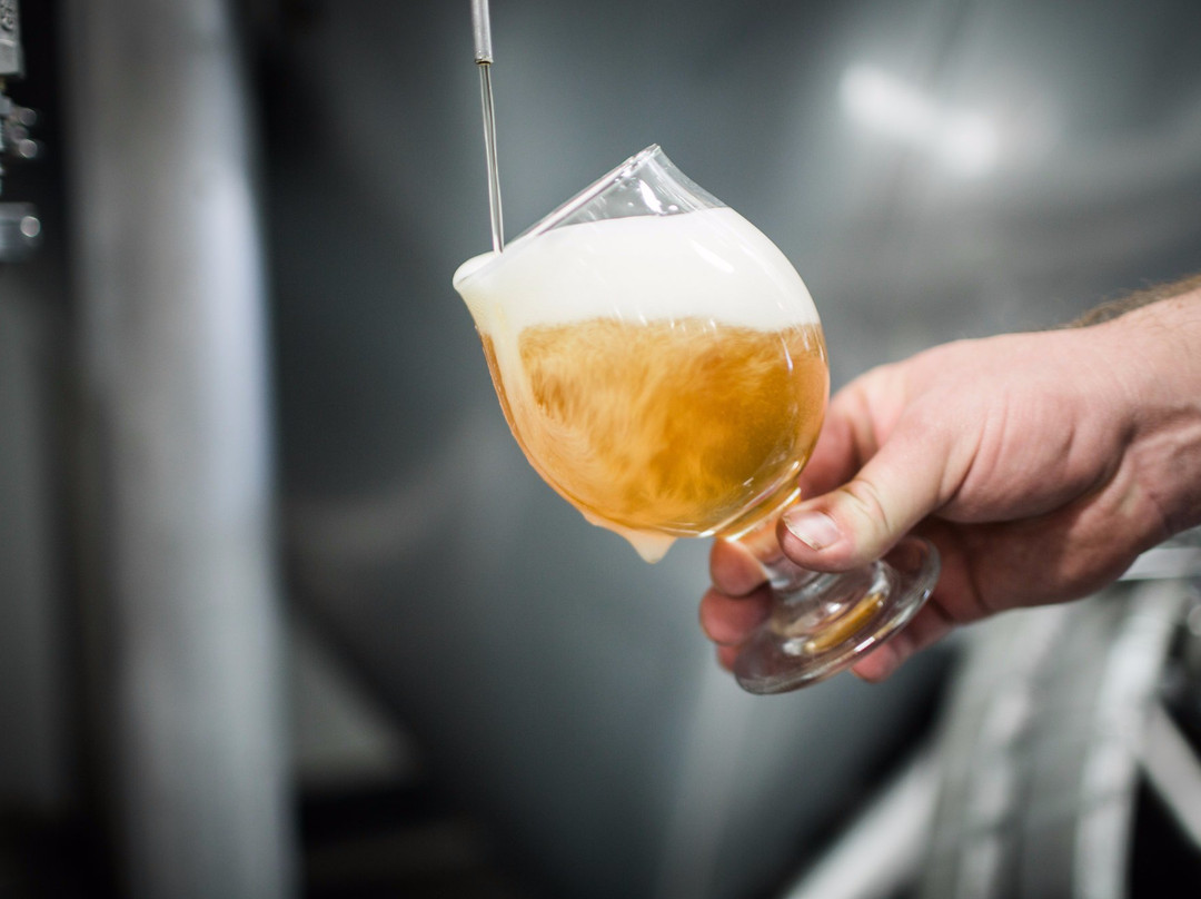 Laughing Monk Brewing-旧金山必去景点