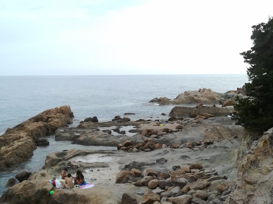 Spiaggia di Calignaia景点图片