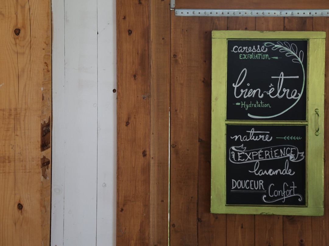 Passion Lavande-Saint-Severe必去景点