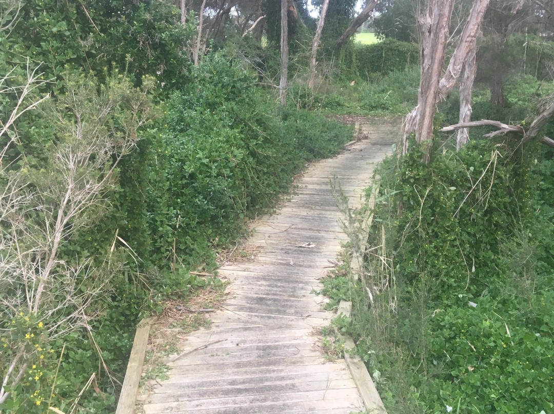 Tootgarook Wetlands-Tootgarook必去景点