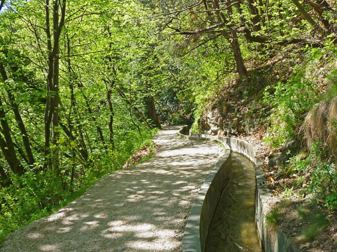 Marlinger Waalweg景点图片