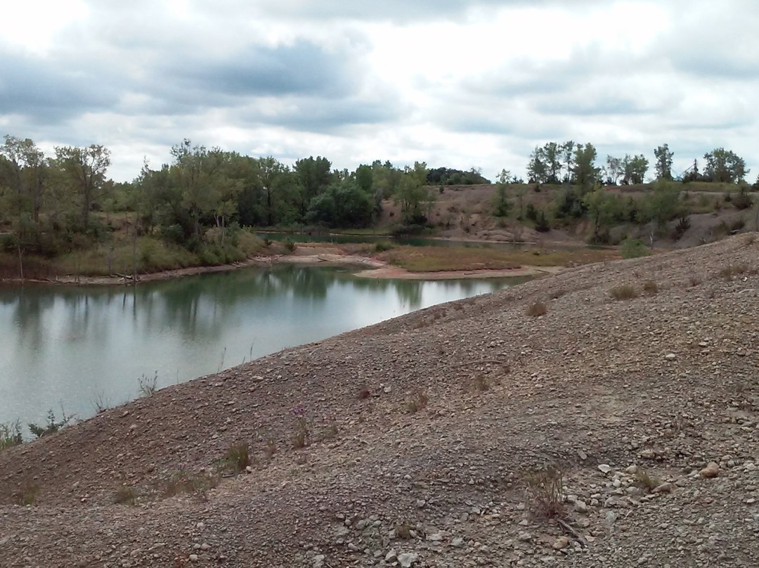 Fossil & Prairie Center-Rockford必去景点