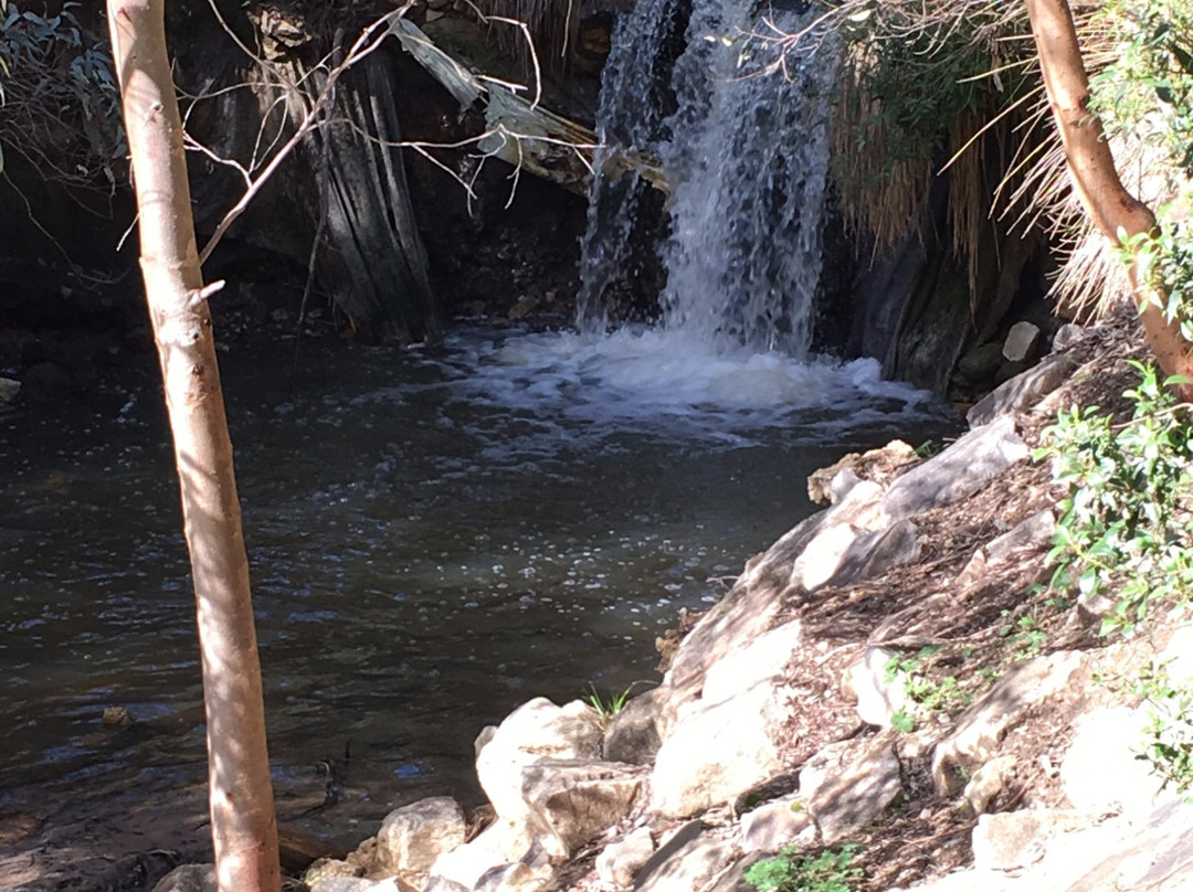 Michael Perry Botanic Reserve-Burnside必去景点