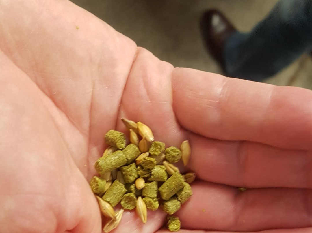 Hops & Brew Craft Brewery Tours景点图片