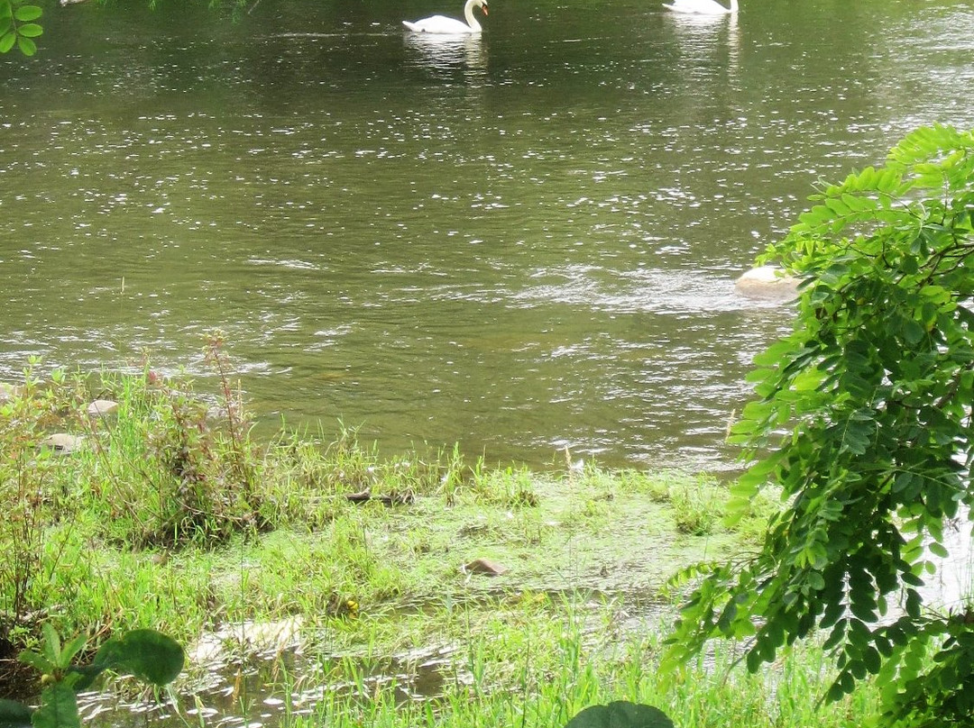 The Thornbury Harbour-Thornbury必去景点