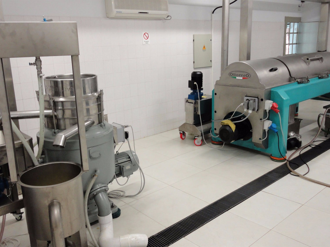 Olium-Villa Las Rosas必去景点