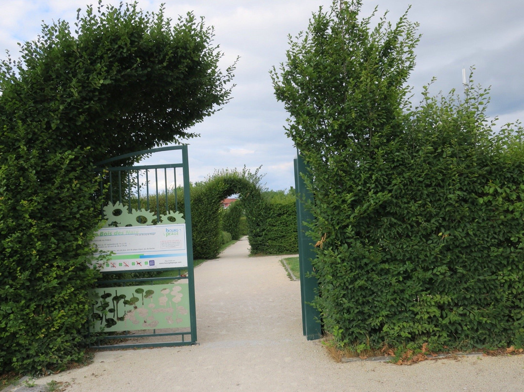 Le Bois des Naix景点图片