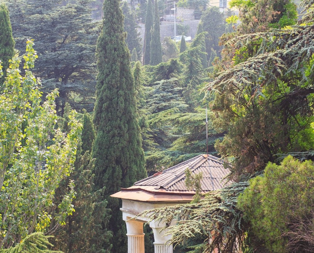 Armenian Church-雅尔达必去景点