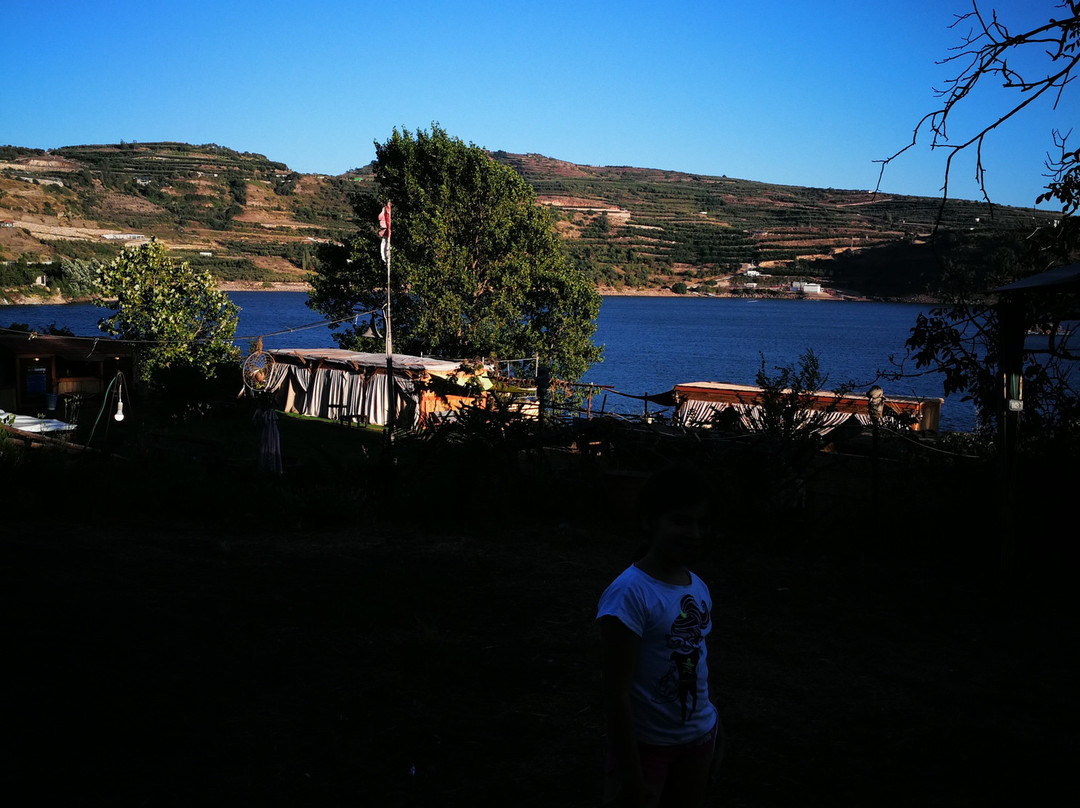 Bambook Park-马萨达必去景点