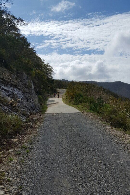 Ganwoljae Plateau-蔚山必去景点