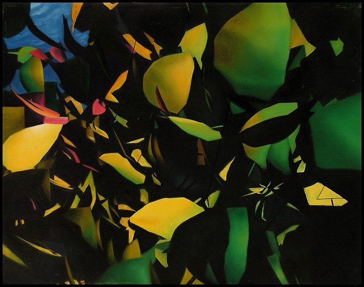 Pygoya's Rain Forest Gardens-火山必去景点