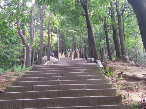 羊台山-深圳市必去景点