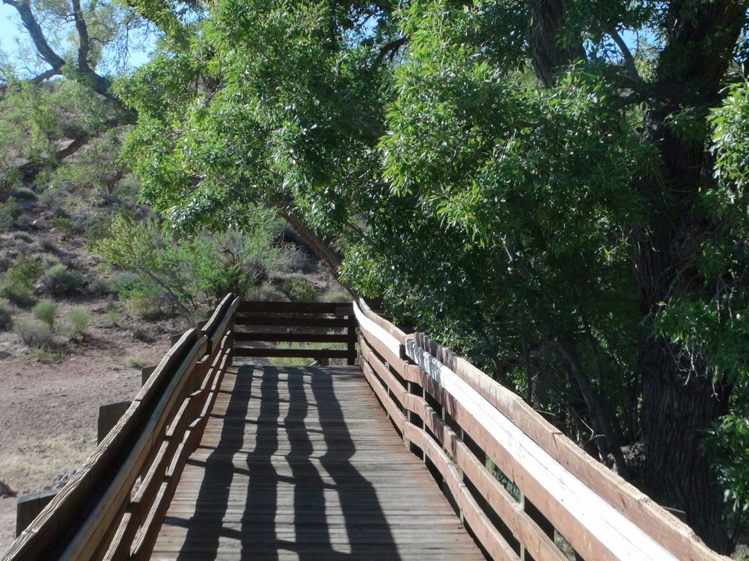 Red Spring Picnic Area-拉斯维加斯必去景点