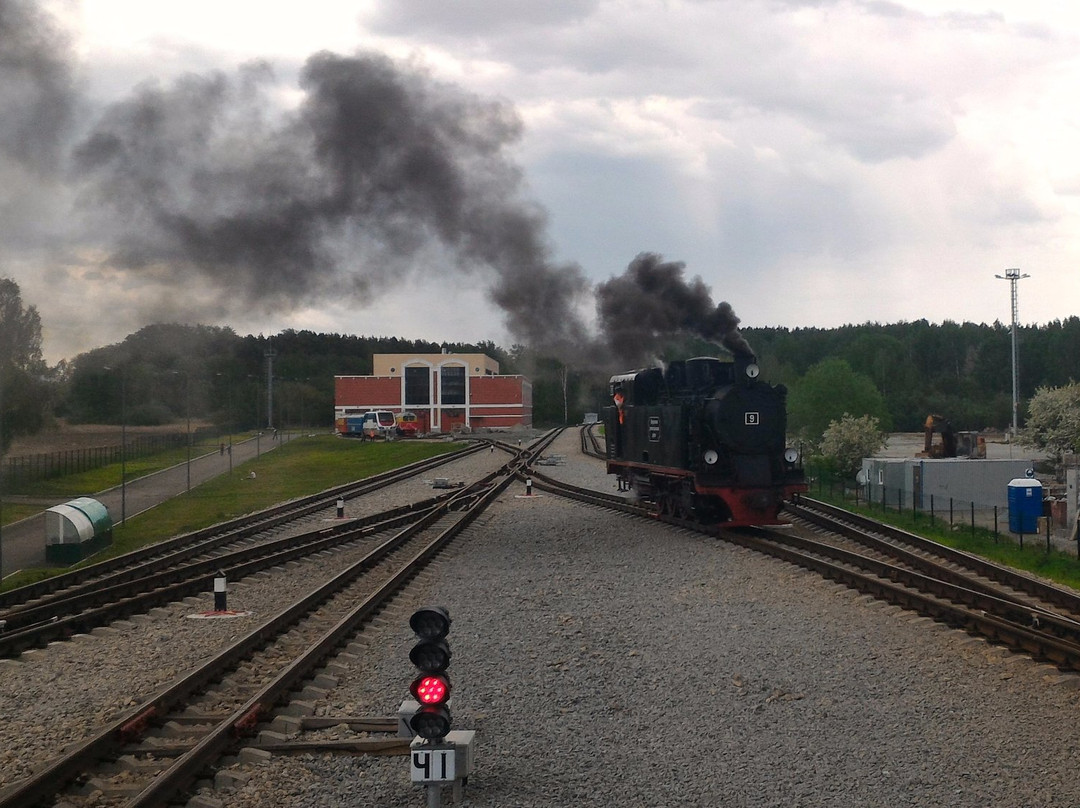Sverdlovsk Children's Railway-叶卡捷琳堡必去景点