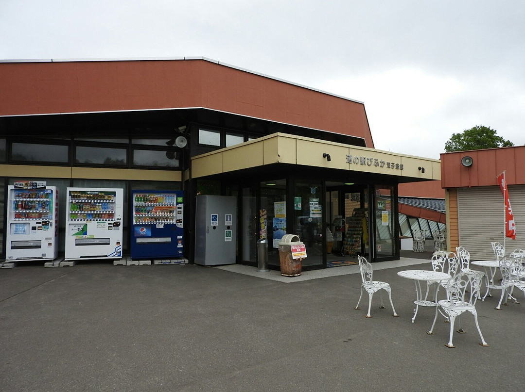 Michi-no-Eki Bifuka-美深町必去景点