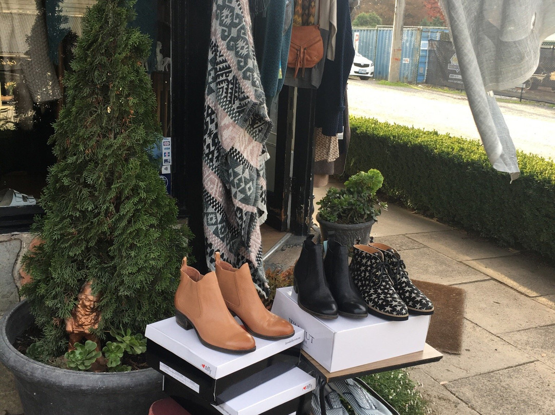 Quirky and The Jakster Sassafras-Sassafras必去景点