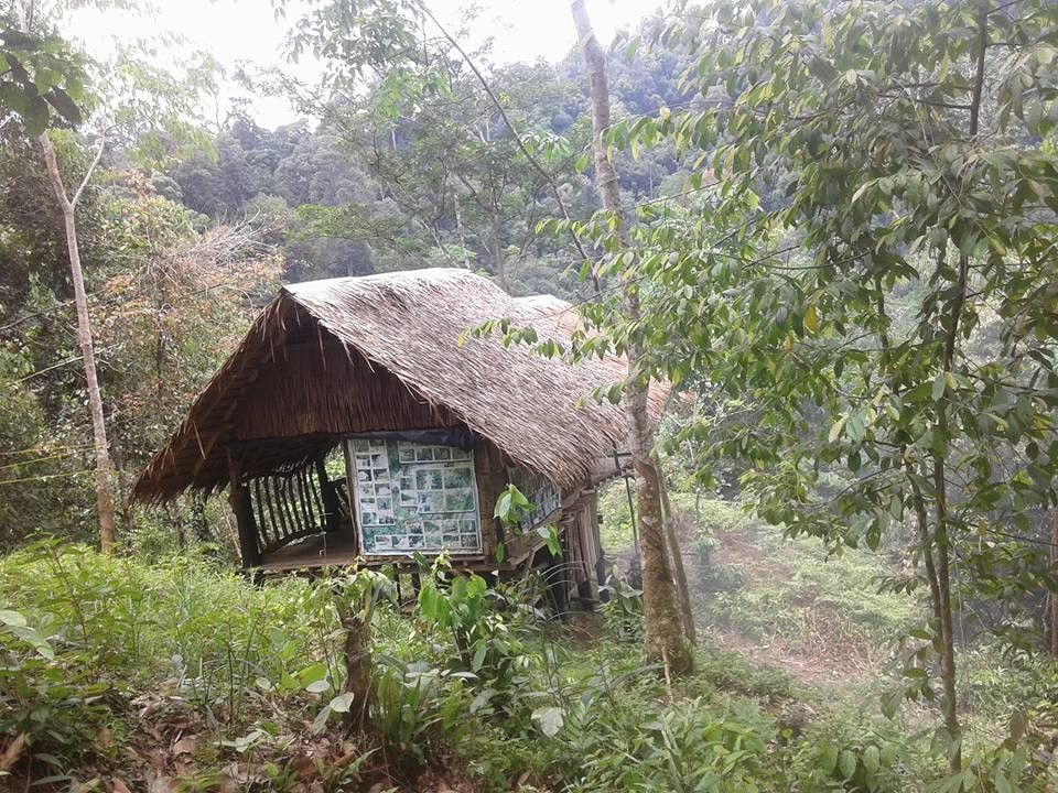 Bukit Lawang Planet-武吉拉旺必去景点