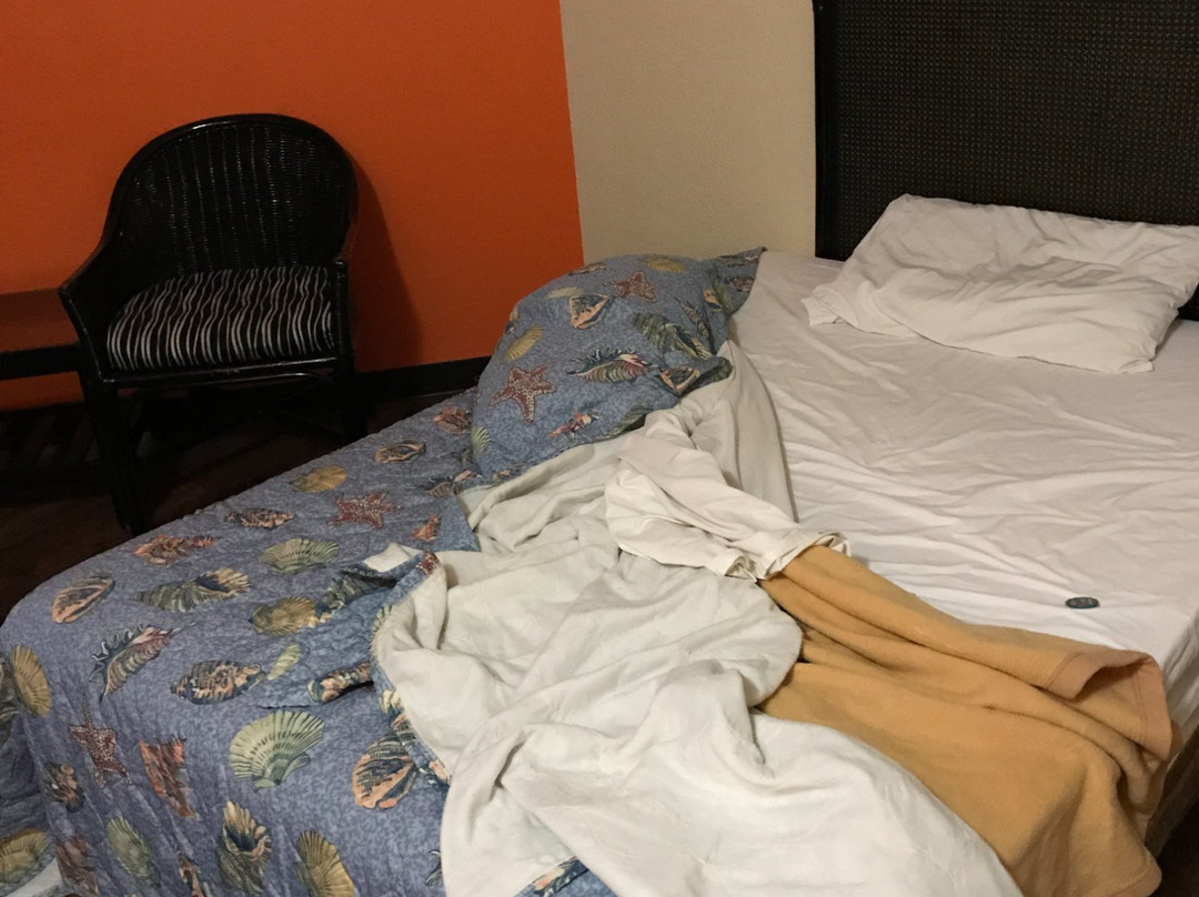 太阳宫殿酒店主图