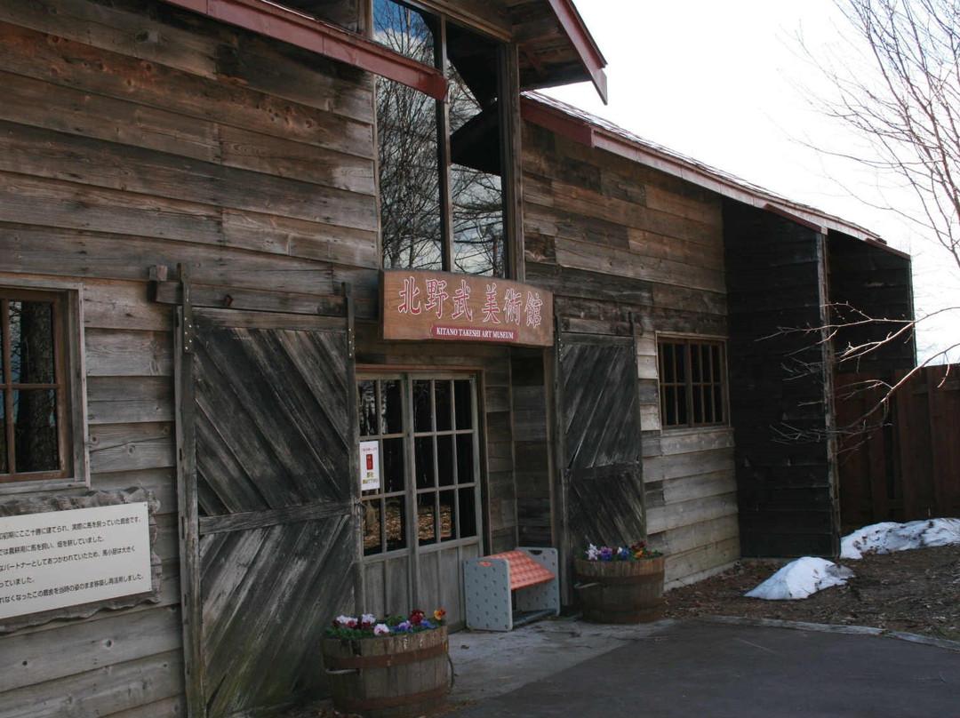 Takeshi Kitano Art Museum-中札内村必去景点