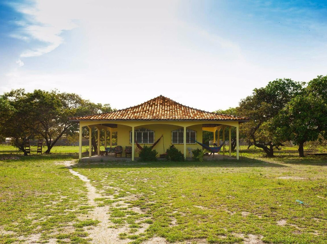 Hostel Tucupi