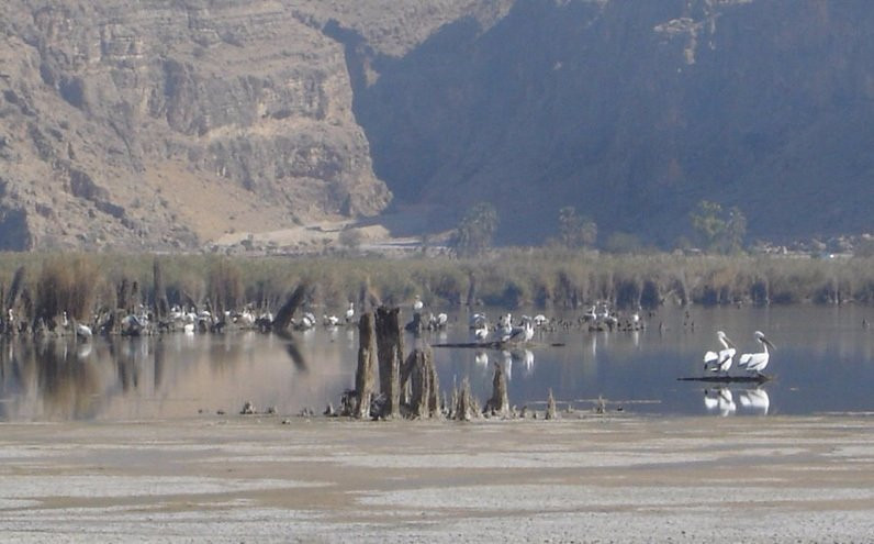 Parishan Lake景点图片