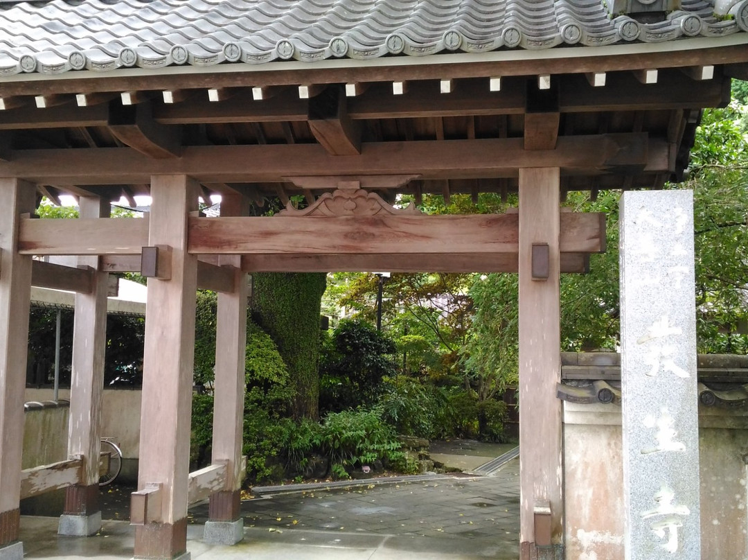Hossho-ji Temple-须崎市必去景点