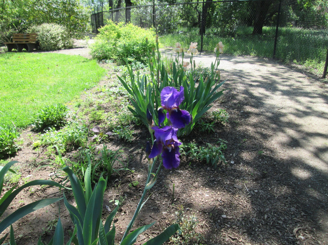McConnell Arboretum & Botanical Gardens景点图片