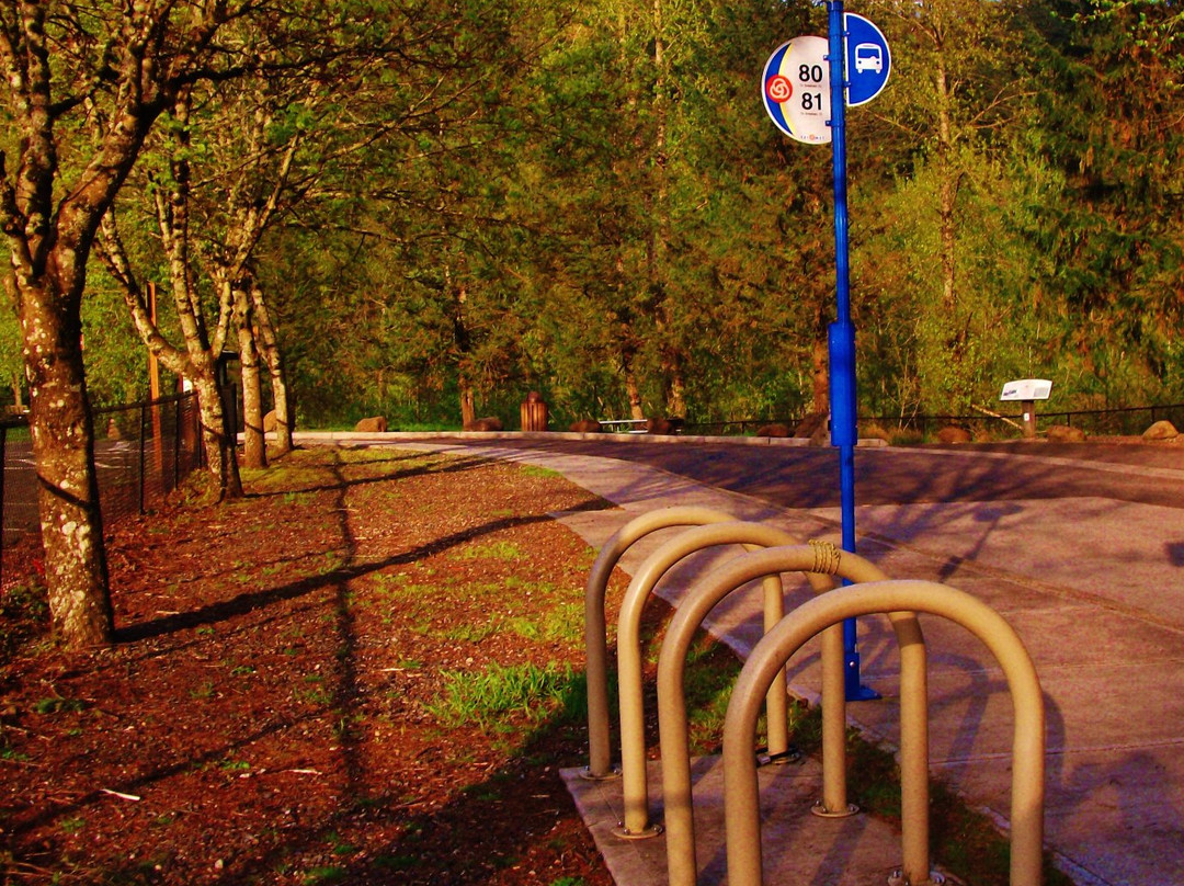 Glenn Otto Community Park-劳特代尔必去景点