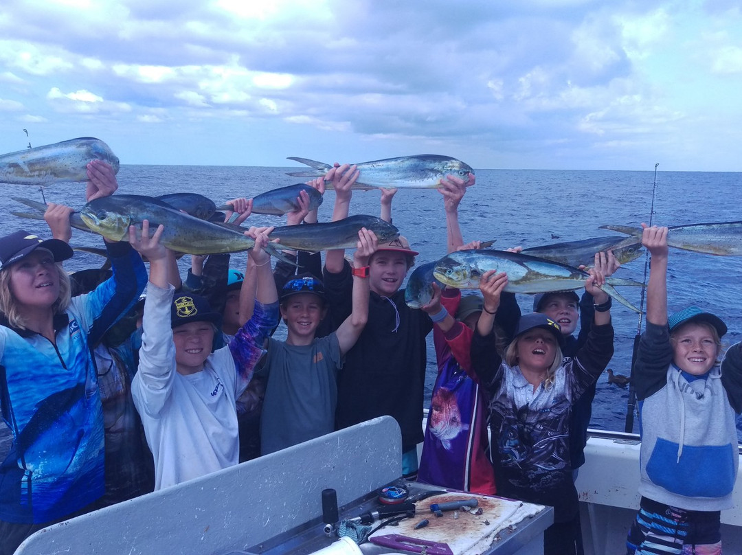 Sydney Sea Charters-巴尔曼必去景点