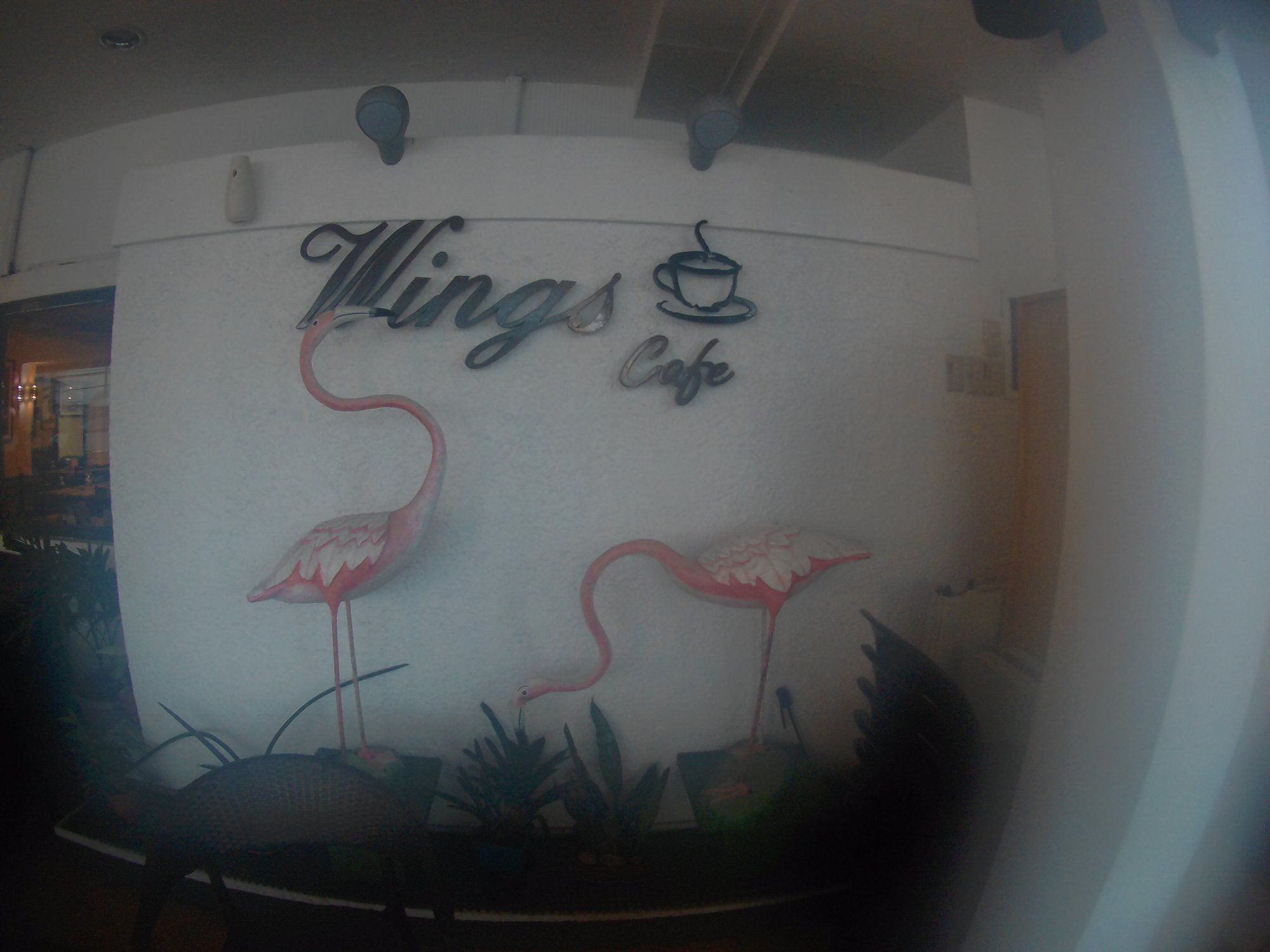Flamingo Hotel-餐饮