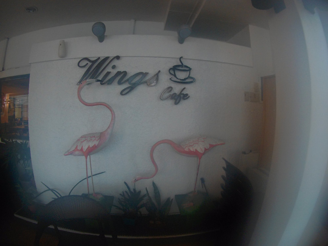 Flamingo Hotel主图