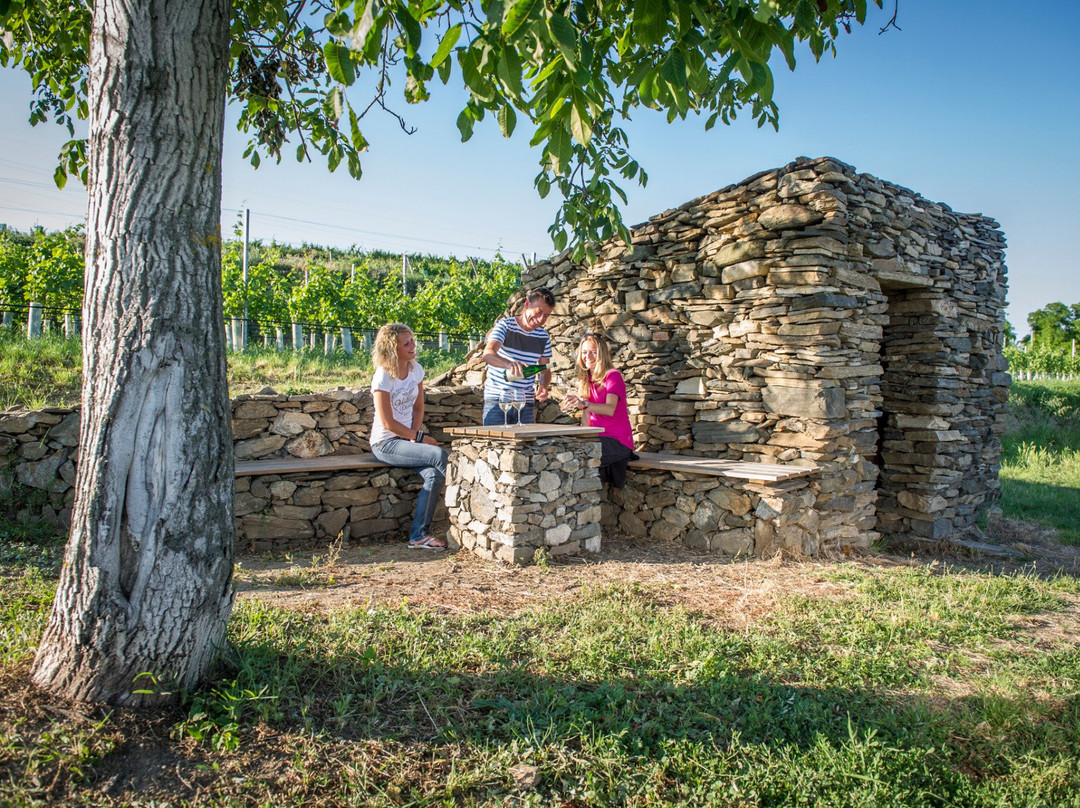 Weinweg Langenlois景点图片
