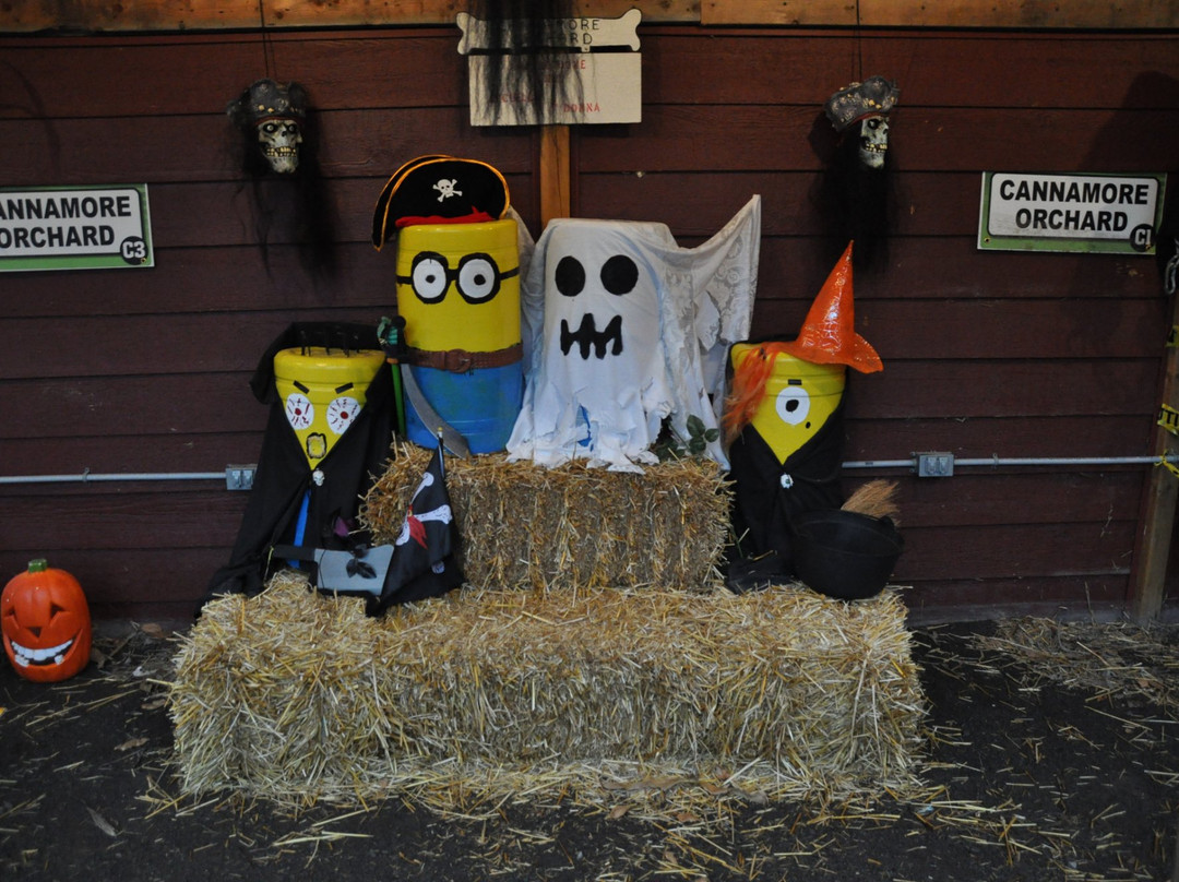 Cannamore Orchard-Crysler必去景点