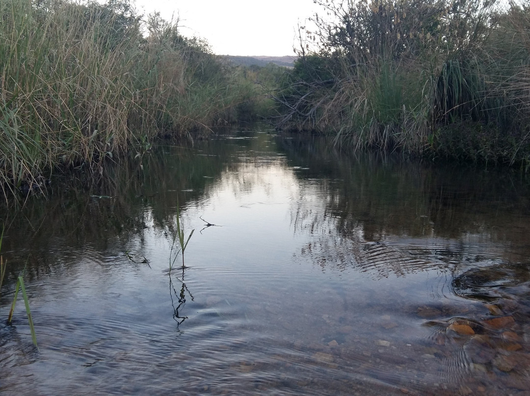 Nyala Inn Guest Farm主图