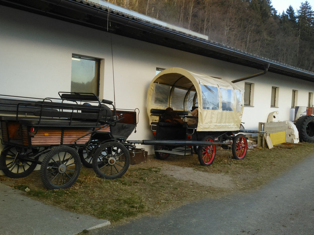 Maneggio Sulfner-Avelengo必去景点