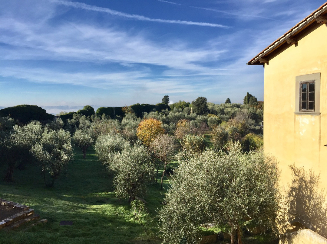 L'Olivo Italiano - Italian Language & Culture School-巴尼奥阿里波利必去景点