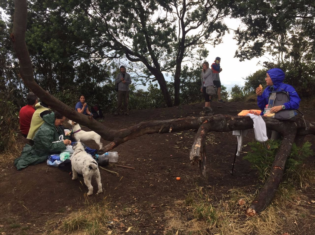 Pena de Juaica-Tabio必去景点