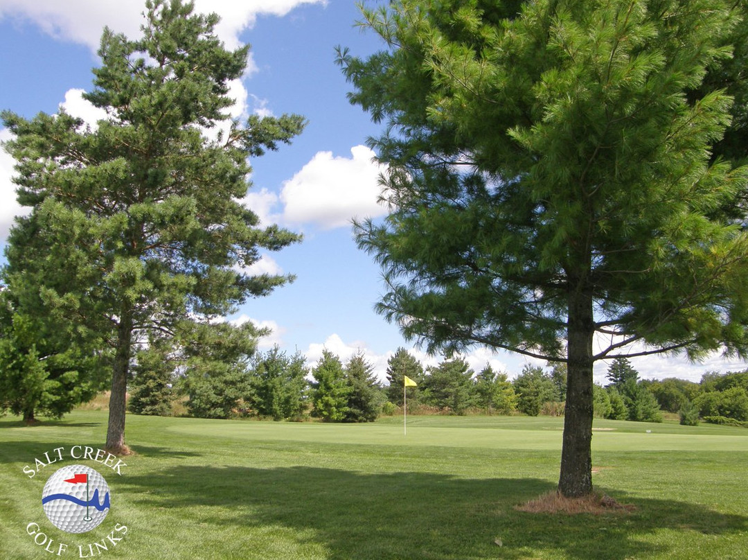 Saltcreek Golf Links景点图片