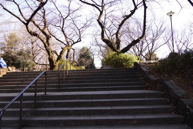 Araiyakushi Park-中野区必去景点